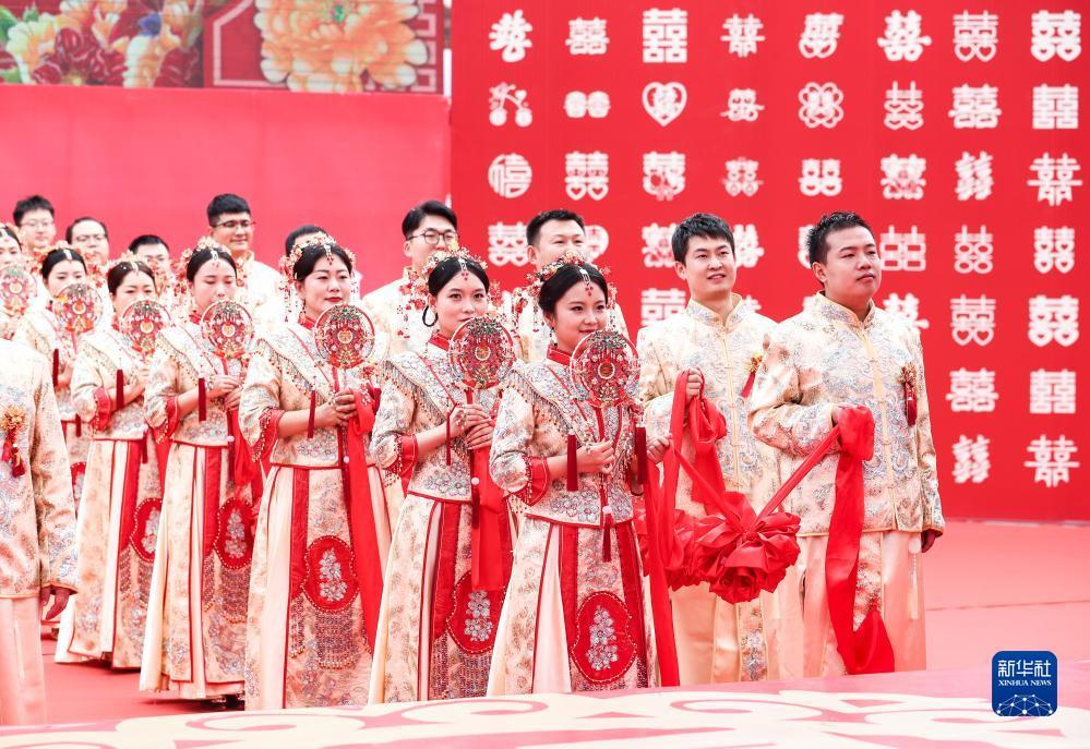 备用网址登录