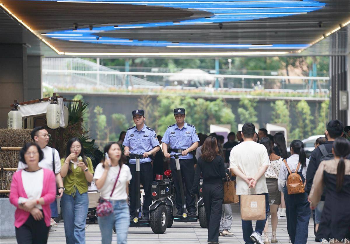 白菜彩金网址大全